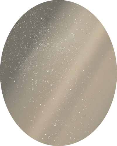 줄기세포 피부주사